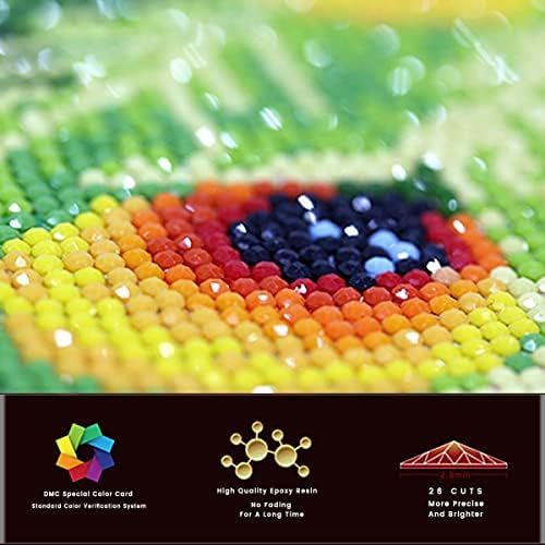 Kits de pintura de diamante DIY ZGMAXCL para adultos broca completa Rous