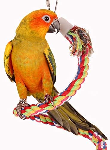 Corda de algodão de papagaio espiral com sinos, bungee bungee de pássaros brinquedo, comprimento 59 polegadas arco -íris