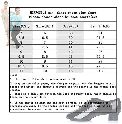 Sapatos de dança de dança latina de laço masculino de Hipposeus