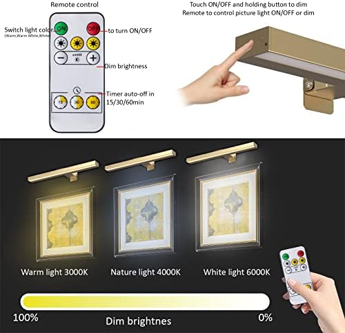 Luzes de imagem sem fio do MioBlue com lâmpada remota e recgarável de pintura de bateria com 3 modos de iluminação, luz de dardo