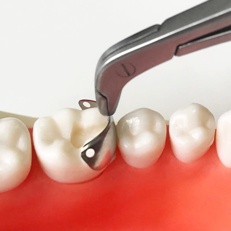Bandas de matriz dentária, sistema de matrizes de metais com contornos seccionais para Matrizes Metal para Dentista de Substituição
