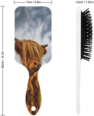 Vaca Highland no pente de almofada de ar -escova de cabelo escoceses Highlands Breath para homens Presente de cabelo para homens
