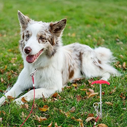 Expawlorer Dog Trey Out Cable and Stake - Tether de cachorro de 25 pés para camping e quintal, treinar e cadeia de treinamento para