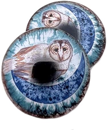 Boho Barn Owl On Moon Glass Eye Cabochons para pingente que faz arames jóias embrulhadas taxidermia artesanal ou esculturas