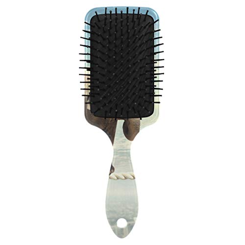 Vipsk Air Almofada Escova de cabelo, elefante aéreo colorido de plástico, boa massagem adequada e escova de cabelo anti -estática para cabelos secos e úmidos, espesso, encaracolado ou reto