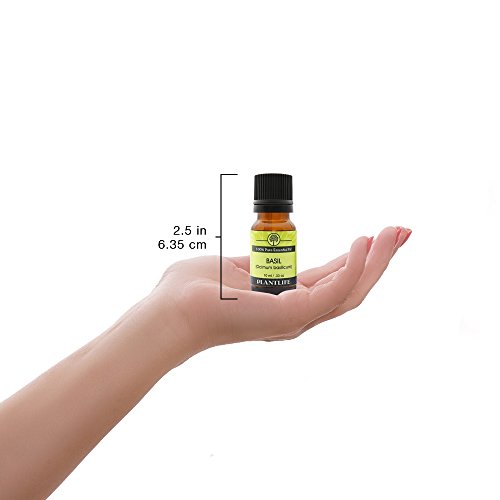 Óleo essencial para aromaterapia com manjericão da vida Plantlife - diretamente da planta de grau terapêutica pura - sem aditivos ou enchimentos - 10 ml