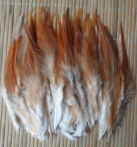 Pumcraft Feather for Decor Jewelry Diy 50 PCS FEANTO AZUL Blue, 10-15 cm de comprimento, Diy Jewelry Decoration Rooster Feathers - Pink
