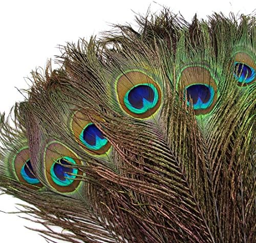 Zamihalla Natural Real Peacock Feathers 25-30cm/10-12 polegadas Decoração Feathers For Crafts Acessórios de roupas de decoração