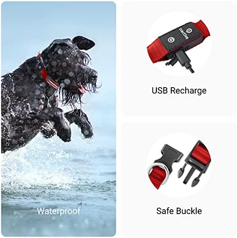 Rastreador de animais de estimação GPS travado com colar de cachorro LED LED - à prova d'água, localização GPS e rastreador