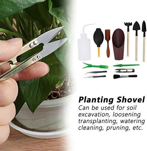 Walfront 13pcs Mini jardim de peças de tesoura Hand Scissor Caving Reginging Planting Shovel Tool Suculent Tool Miniature