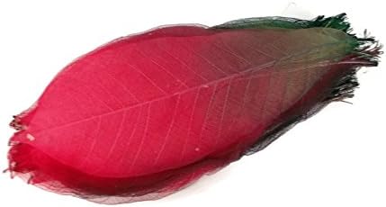 Esqueleto verde vermelho folhas de 8 polegadas de cor natural Flor, fazendo folhas de borracha natural