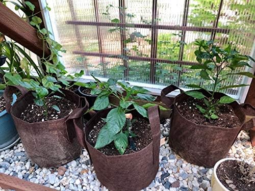 Melhor bolsa de raiz. Melhor panela de jardim de aeração e bolsa de cultivo de Maui Mike's. Cresça tomates, ervas e vegetais maiores e mais saudáveis. Eco amigável.