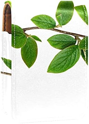 Caixa de batom com espelho de folhas verdes frescas lips brigos de brilho portátil caixa de armazenamento portátil Bolsa