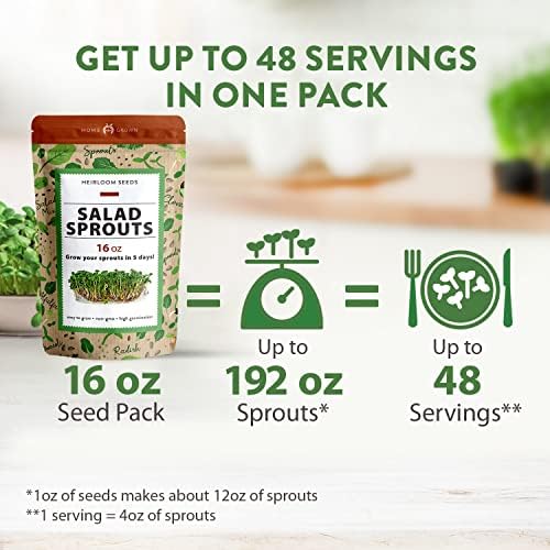 Sprouts e Microgreens Seeds Mix a granel: brócolis, alfafa, rabanete, sementes de trevo para brotar - Cresça saudável micro -greens - pacote de variedades de sementes de broto - até mesmo a disseminação de variedades