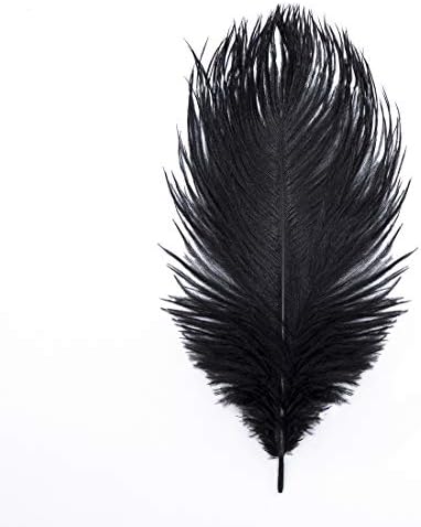 Hollosport 30pcs Avestruz preto a granel Feathers 10-12 polegadas para peças centrais decorações de casamentos de festa Dream