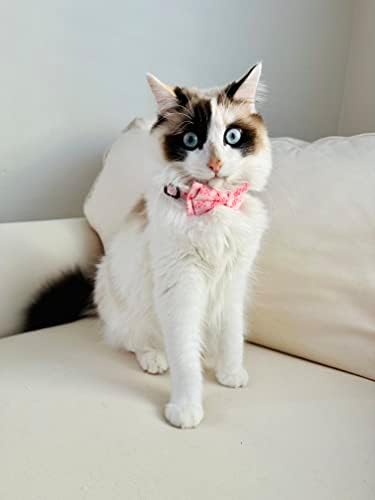 Valentine Love Cat Collar, Heart Valentine Ajustable Gollar Safety Breakaway Com uma gravata borboleta removível e fofa para Kitty ou cachorro pequeno
