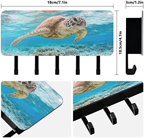 Chave de tartaruga marinha xigua para parede com organizador de correio e 5 ganchos -chave Chave decorativa e suporte para