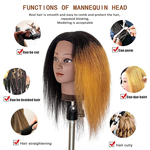 Millyshine Mannequin Head Cabelo humano real, tripé de peruca com cabeça de manequim, cabeça de trança de boneca,