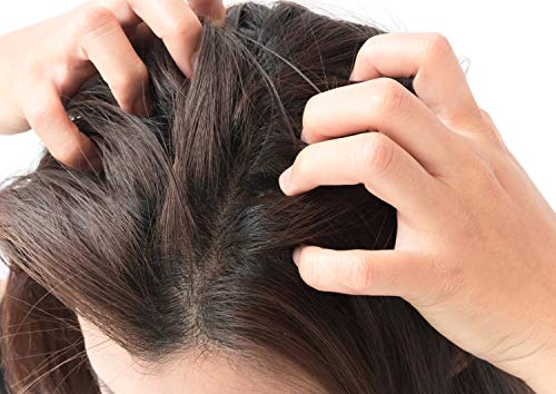 Óleo de cabelo natural premium do Difeel - óleo da árvore do chá para couro cabeludo seco 7,1 onças