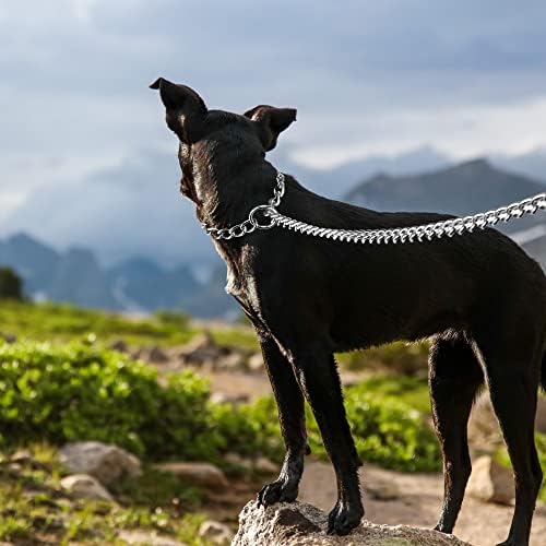 Coleira de cachorro de metal pilhome, colarinho de cachorro integrado e coleira, trela da corrente de cães à prova