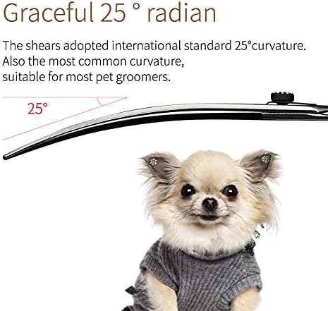 Fenice 8,0 polegadas Cachorro de cão tesoura curva com parafuso de jóias para animais de estimação Japão 440C Aço inoxidável