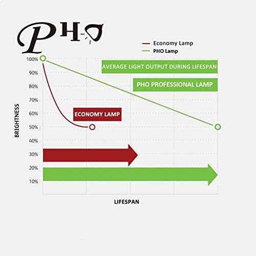 Pho an-xr10lp bulbo de reposição original genuíno com alojamento para projetor nítido XR-2030X