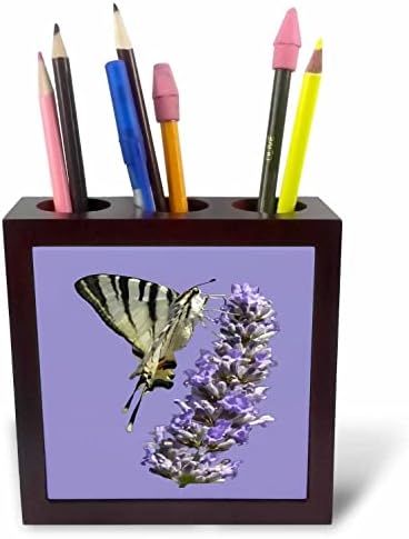 Vista lateral de 3drose de escassa borboleta de rabo de andorinha alimentando -se com lilás - portadores de caneta de telha