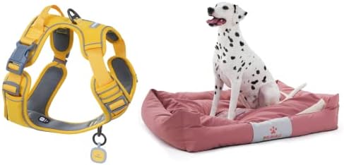 PAWAII CAMA DE DOGO DOMILAÇÃO, cama de cachorro com fundo anti-deslizamento para quatro estações e pacote de chicote de