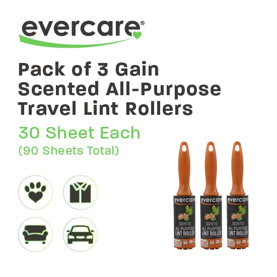Evercare Pack of 3 Gain perfum a todos os fins de fins, rolos de fiapos, 90 folhas no total