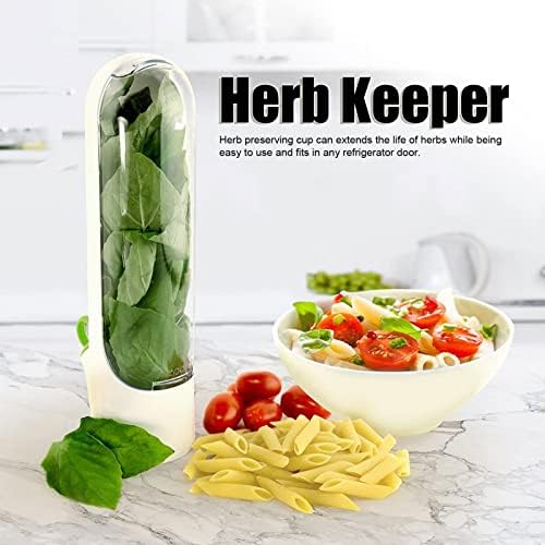 Herb Guardy para refrigerador Savor Preservedor Herb Recipiente de armazenamento Herb Preserva a Copa de Herb Storage Savor Reserver para Cilentro Mint salsa Asparagus