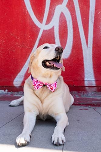 Huxley e Kent Bow Tie para animais de estimação | Love Pawtion No. K9 | Acessório de colarinho de gravata de velcro do dia dos namorados | Diversão laços de arco para cães e gatos | Bonito, confortável e durável | H&K Biroga