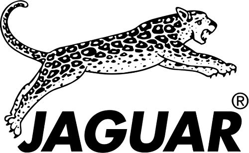 Jaguar White Line JP 10 Offset Herdressing Scissors, comprimento de 6,5 polegadas, prata, 0,03597 kg