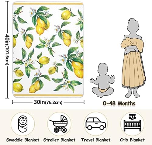 Limões de frutas frutas cítricas frescas, cobertor de bebê fofo para criança, cobertor de criança para creche com uma creche com material recém -nascido de material grosso e macio para carrinho de carrinho de presente decorativo Travel