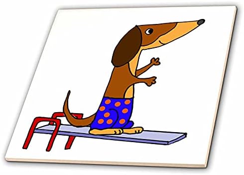 3drose fofo divertido dachshund cão mergulhador em baús de nadar de bolinhas na prancha de mergulho - azulejos