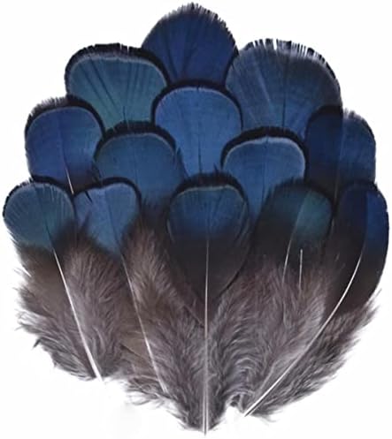 FEANTIONAIS PEACOCAL NATURAL PEADES DE ÁGÍVEL PLUMAS DE FRINHAS DE Águia Decoração de Avestrich