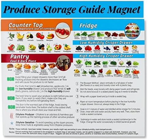 Produzir Magnet de Guia de Armazenamento - Como armazenar ímã de comida para a geladeira, folha de dicas de frutas e vegeta