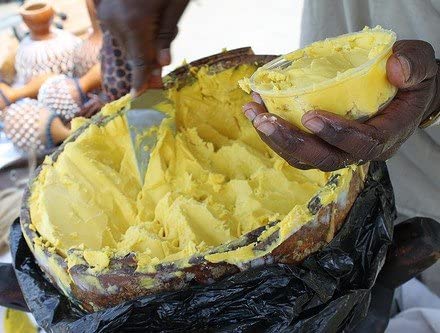 Manteiga de karité cru de gana não refinada orgânica de Gana 8oz