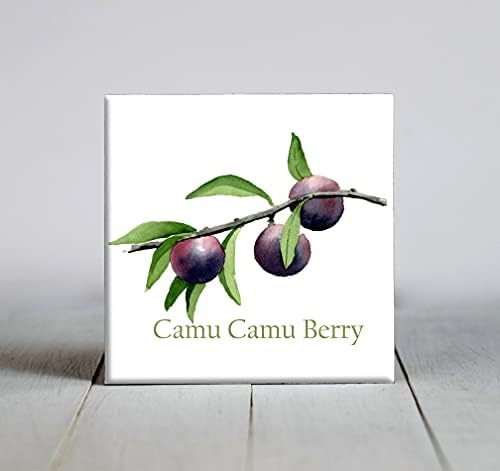 Camu Camu Berry Berry Arte de Arte Decorativa