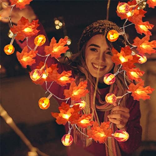 Iybwzh LED Maple Pumpkin String Lights para Halloween Yard Party Room Luzes decorativas 3pcs Pool Party Party