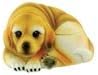 Dog Puppy Treasure Tocleet Jóias Titular Caixa colecionável, 3 polegadas