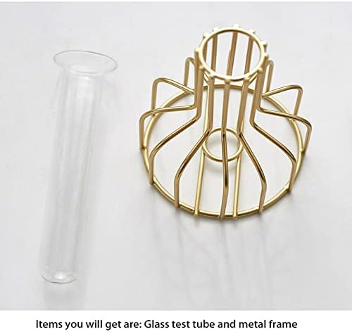2 PCs Vaso de flor de ouro com moldura de metal, vasos de tubo de teste de vidro transparente decorativo, vasos de broto