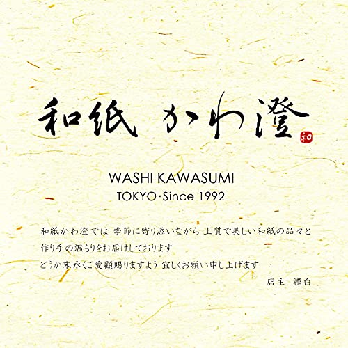 Washi Kawasumi Papel japonês Momi Washi, preto, tamanho B4, 10,2 x 14,4 polegadas, pacote de 10