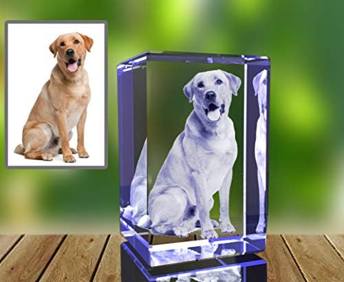 Presente de foto personalizada | Cristal gravado em 3D, lembrança | Presente | Decoração | Colecionável | Lembrança | Cães ou gatos