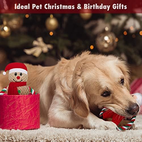 Conjunto de Pedgot de 4 Christmas Squaky Plush Dog Toy Puppy Interactive Toy Toy Chew Toys incluiu Ginger Man Rena Santa