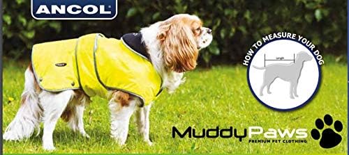 Ancol Muddy Paths Green Parka Dog Coat S