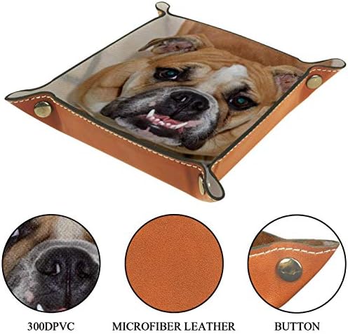 Lyetny dentes caninos britânicos Organizador marrom bandeja Bandejas de armazenamento de cabeceira Caddy bandeja de desktop alteração de carteira de caixa de moeda de caixa de caixa
