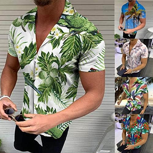 Camisas havaianas para homens, mangas curtas de manga curta camisas havaianas com grande variedade de designs de cores disponíveis