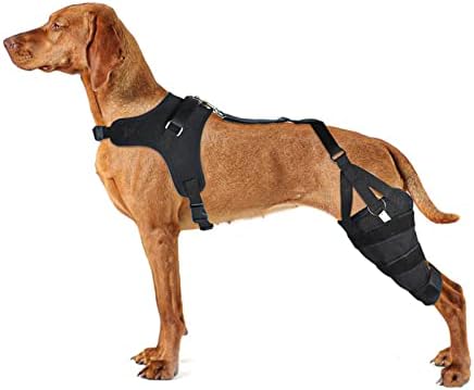 Risurry/Lispoo Labra Dog Knee Support Brace fornece displasia articular do quadril e outras condições que afetam
