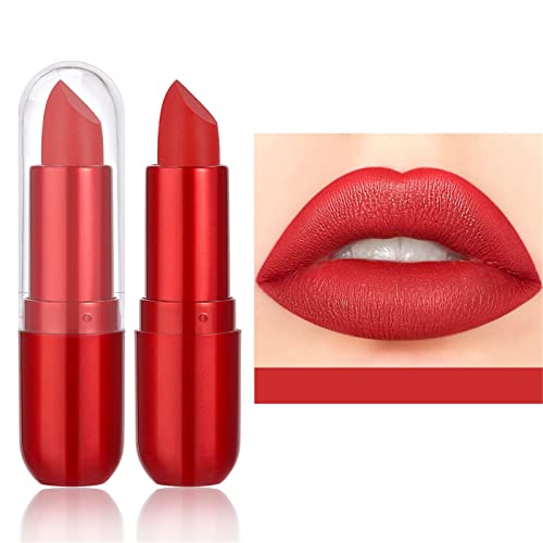 Batom com maquiagem labial Velvet Longa duração High Pigmment nua à prova d'água Lip Gloss Girl Ladies Makeup