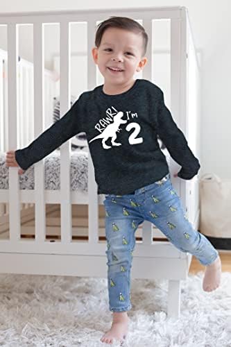 2º aniversário camisa menino dinossauro Rawr im 2 Toddler